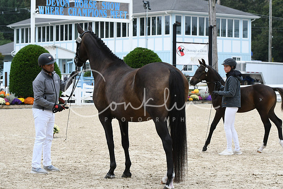 HSM_0707