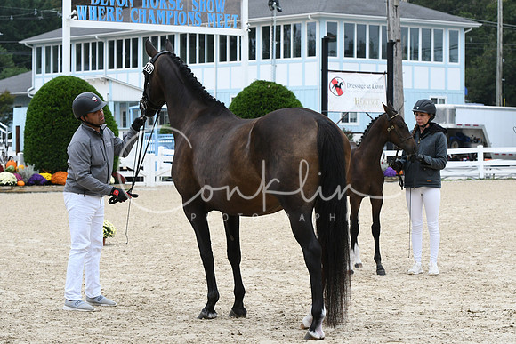 HSM_0709
