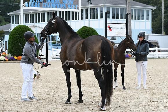 HSM_0710