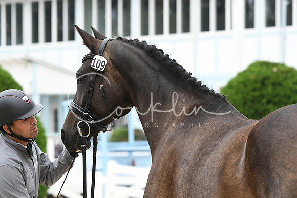 HSM_0711