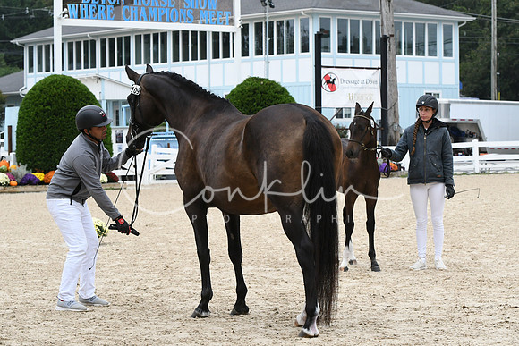 HSM_0712