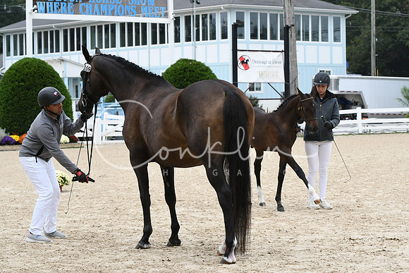 HSM_0713