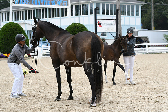 HSM_0714