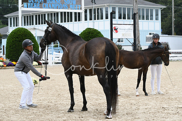 HSM_0716