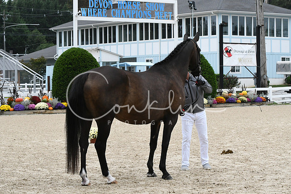 HSM_0719