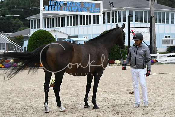HSM_0720