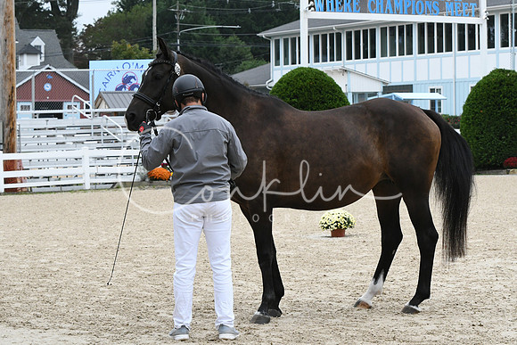 HSM_0723