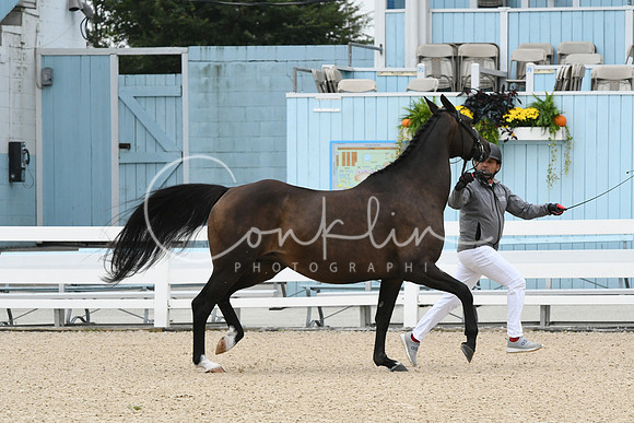 HSM_0731