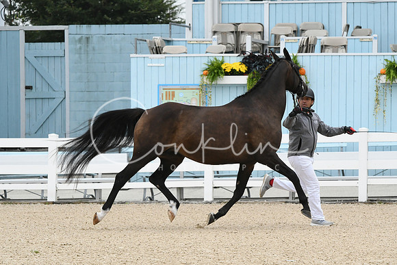 HSM_0732