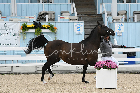 HSM_0735
