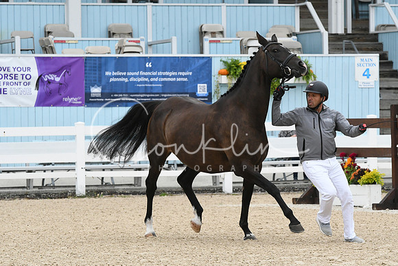 HSM_0738