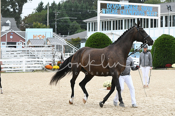 HSM_0742