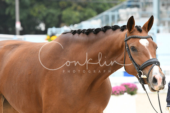 HSM_0814