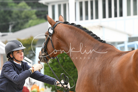 HSM_0789