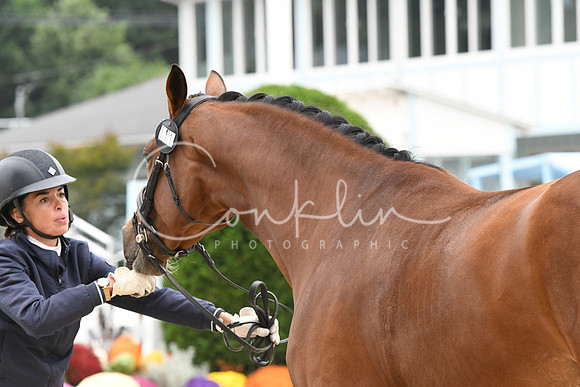 HSM_0790