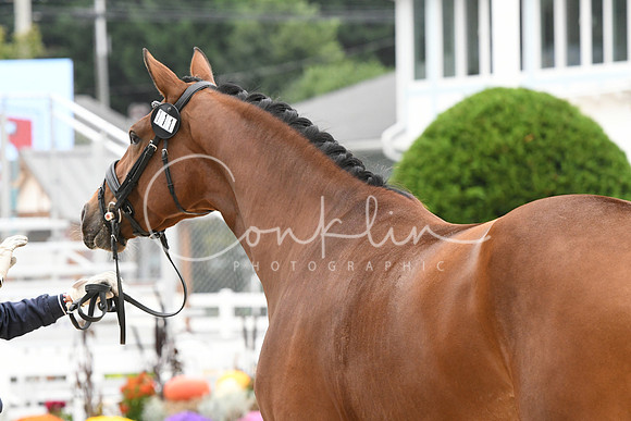 HSM_0791
