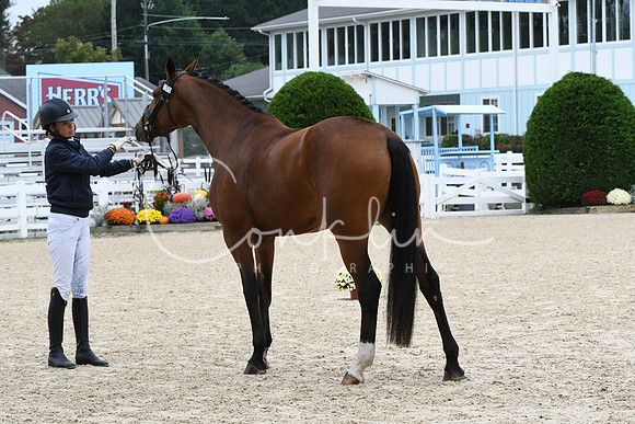 HSM_0792