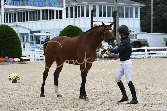 HSM_0793