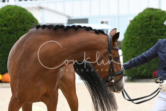 HSM_0794