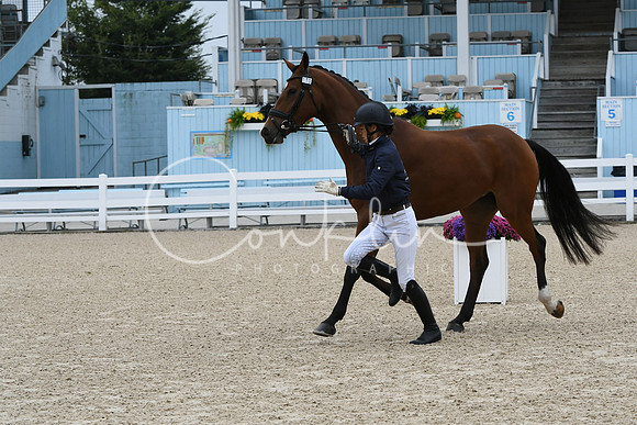 HSM_0804