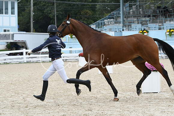 HSM_0805