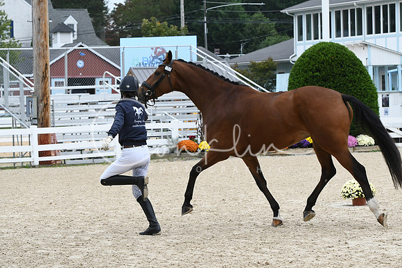 HSM_0807