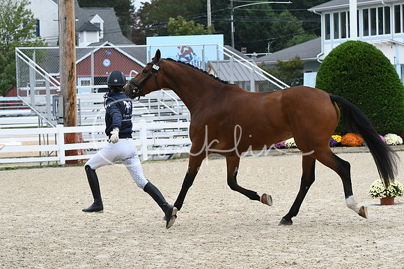HSM_0808