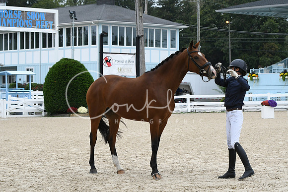 HSM_0809
