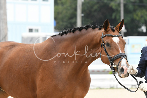 HSM_0813