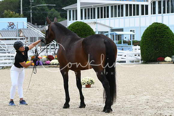 HSM_0601