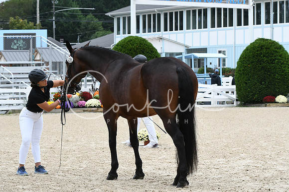 HSM_0602