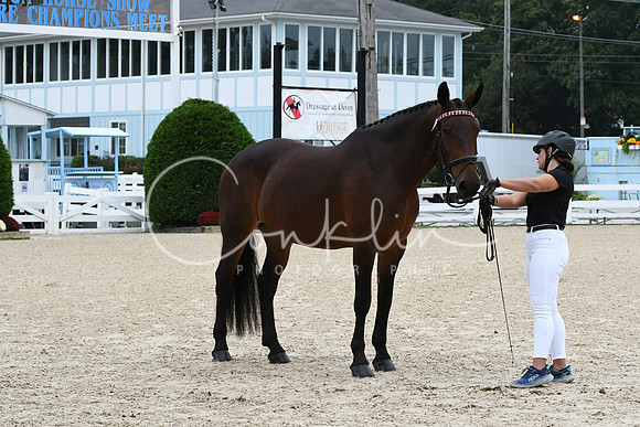 HSM_0603