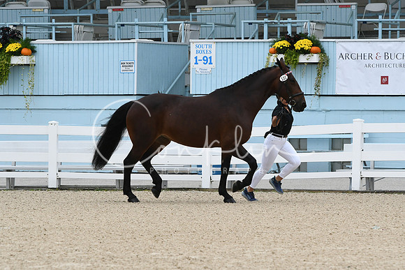 HSM_0607