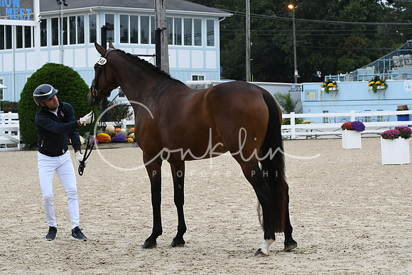 HSM_0824
