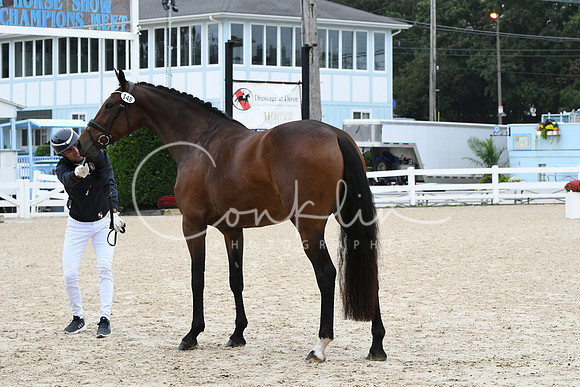 HSM_0826
