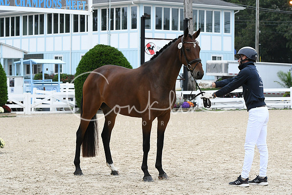 HSM_0827