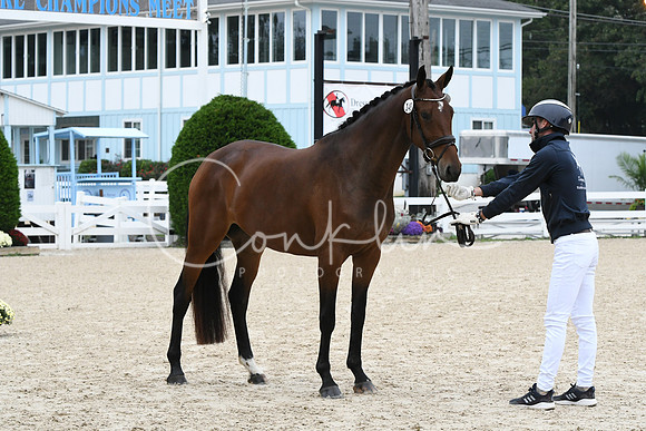 HSM_0828