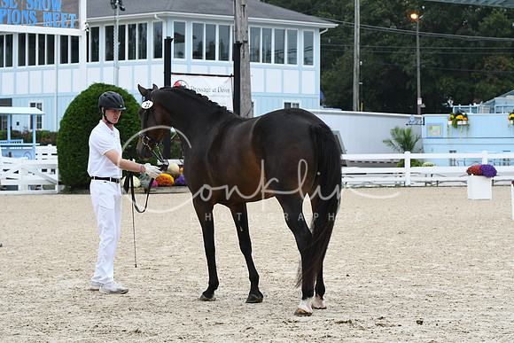 HSM_0622