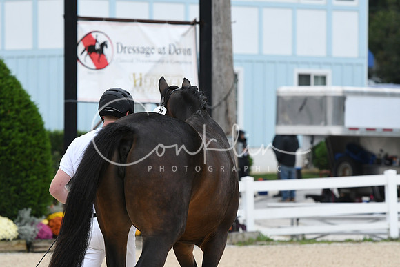 HSM_0629