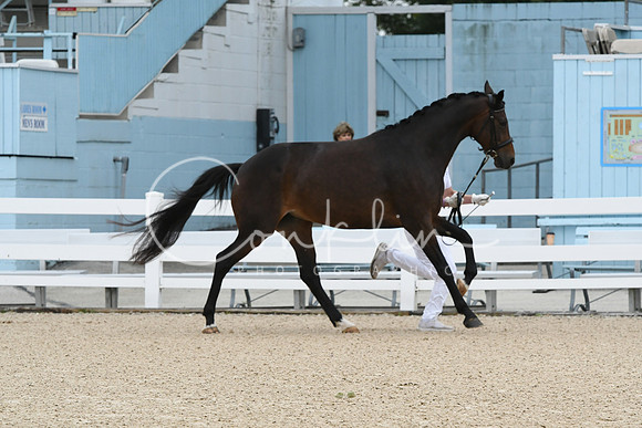 HSM_0635