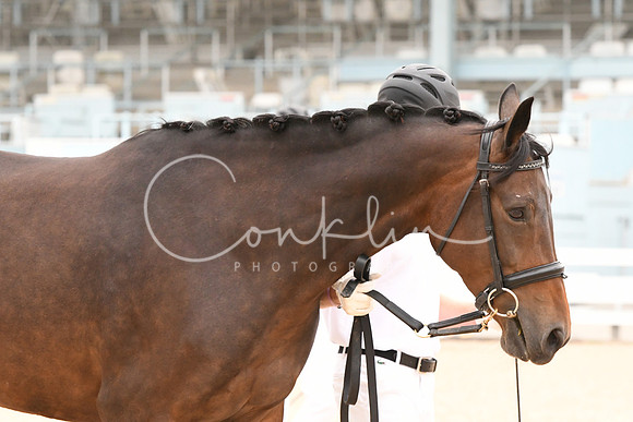 HSM_0641