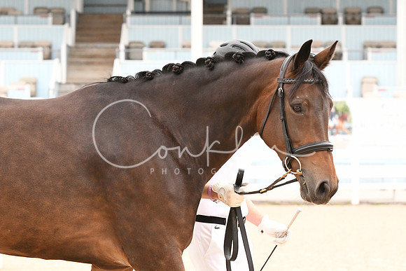 HSM_0642
