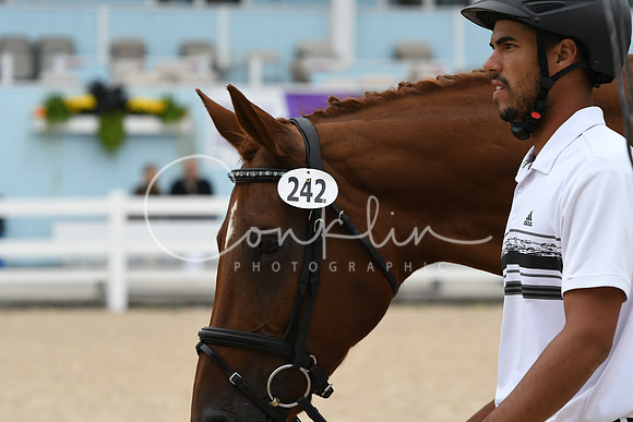HSM_0850