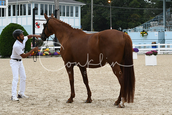 HSM_0854