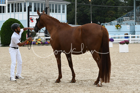 HSM_0855