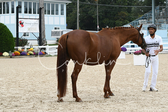 HSM_0856
