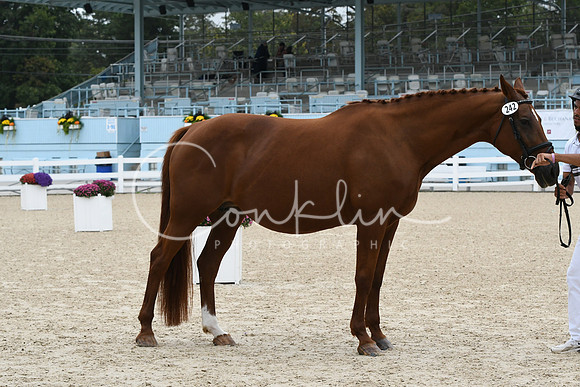 HSM_0857