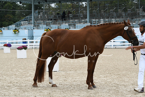 HSM_0858