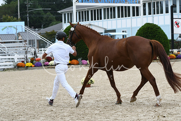 HSM_0871