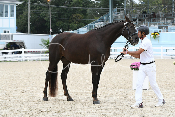 HSM_1020
